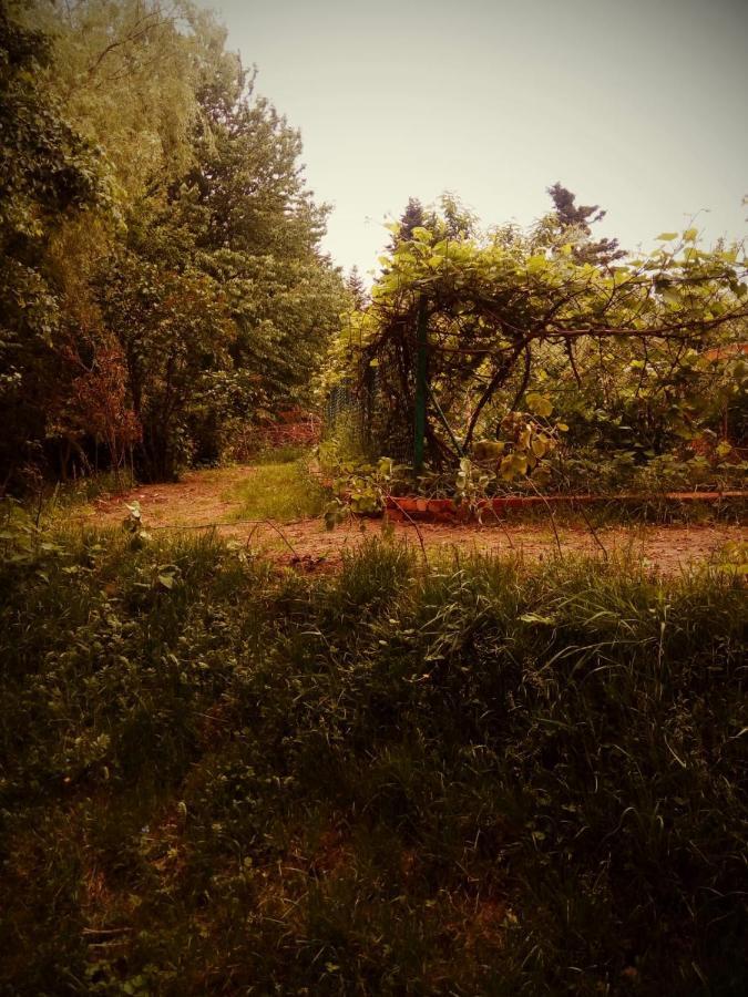 Agroturystyka U Babci Czchow ภายนอก รูปภาพ