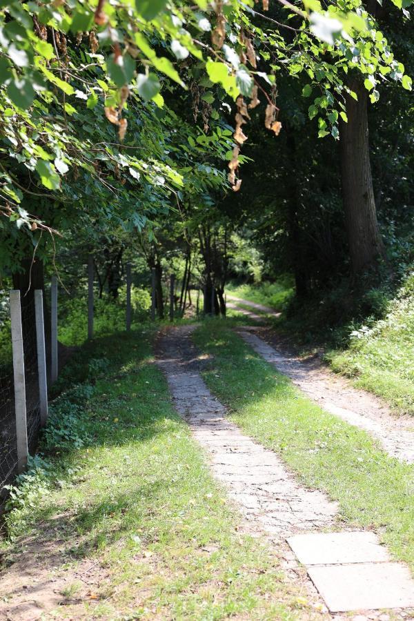 Agroturystyka U Babci Czchow ภายนอก รูปภาพ